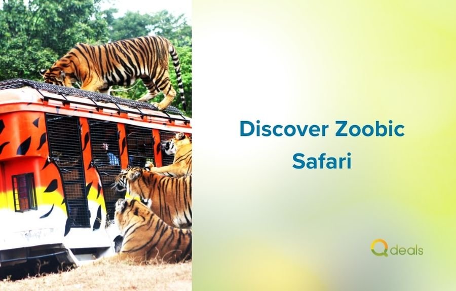 Discover Zoobic Safari: Entrance Fees and More