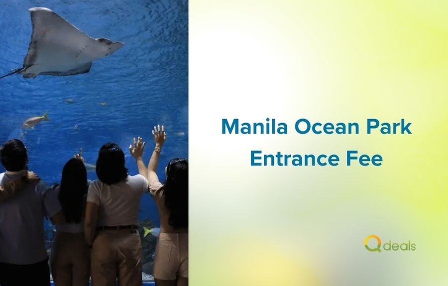 Manila Ocean Park Entrance Fee: Everything You Need to Know