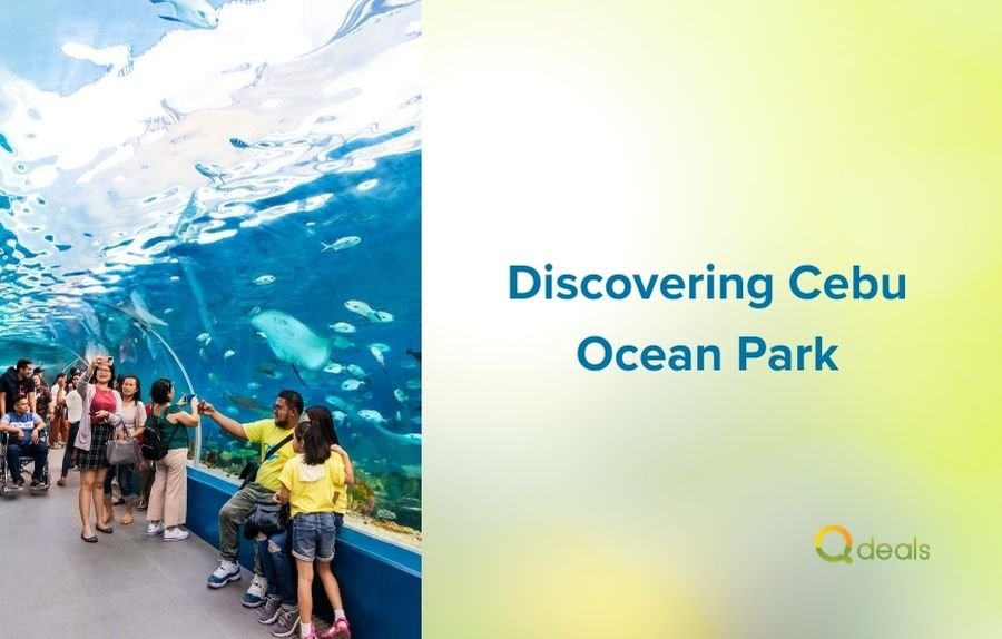 Discovering Cebu Ocean Park: Entrance Fee and More